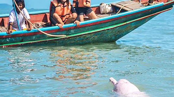 Koh Samui im März: Wetter, Reisezeit und was geht