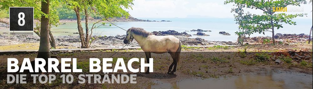 Palmengesäumter Laem Yai Beach an der Nordwestküste von Koh Samui