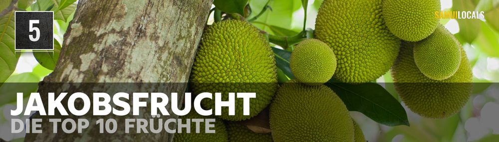 Aufgeschnittene Jackfrucht mit gelben Fruchtsegmenten