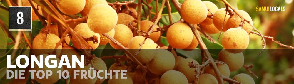 Aufgeschnittene Longan-Früchte mit weißem Fruchtfleisch