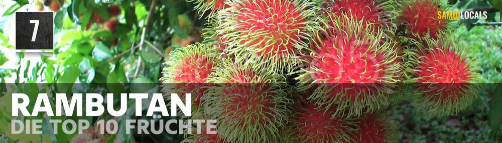 Haarige rote Rambutan-Früchte in Thailand