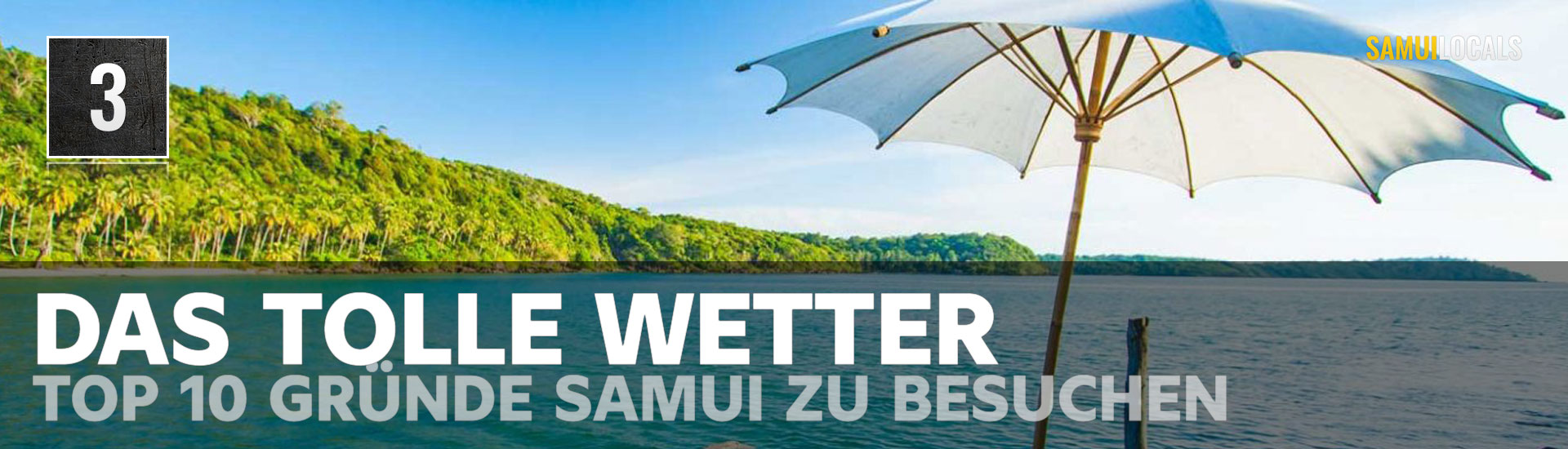 Sonniger Himmel über Palmen auf Koh Samui