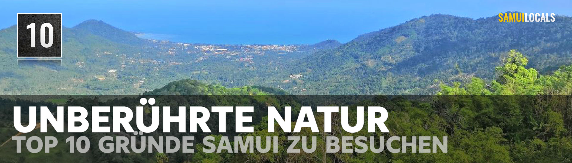 Dichter tropischer Regenwald im bergigen Inselinneren von Koh Samui