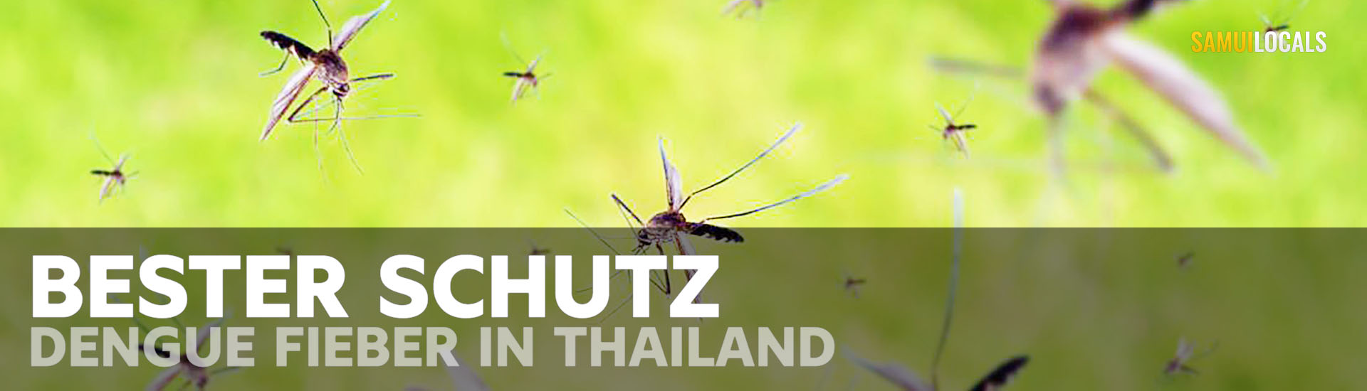 Mückenschutzmittel mit DEET als wichtigster Schutz vor Dengue-Fieber