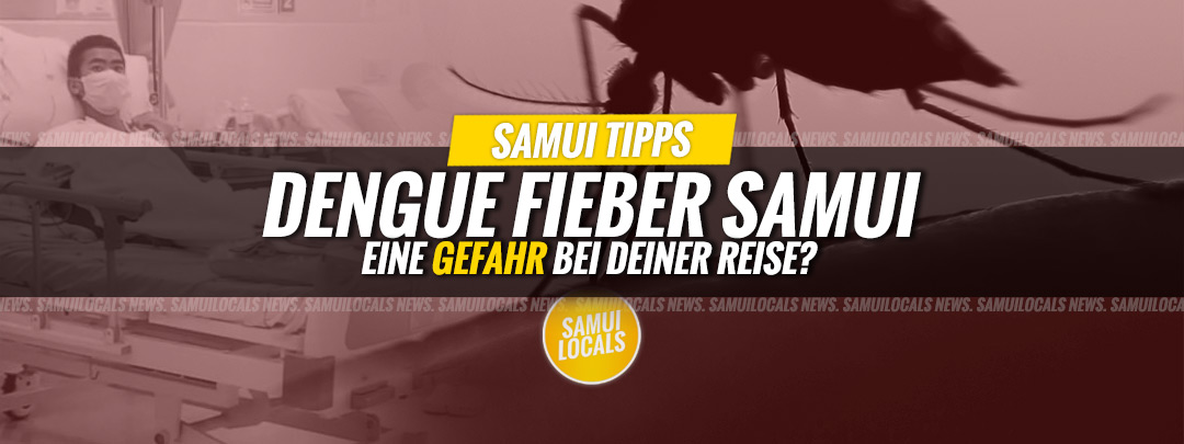 Dengue-Fieber Thailand: Eine Gefahr bei deiner Reise?!
