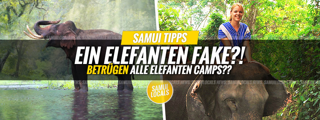 Ist jede Koh Samui Elefanten Auffangstation ein "Fake"?