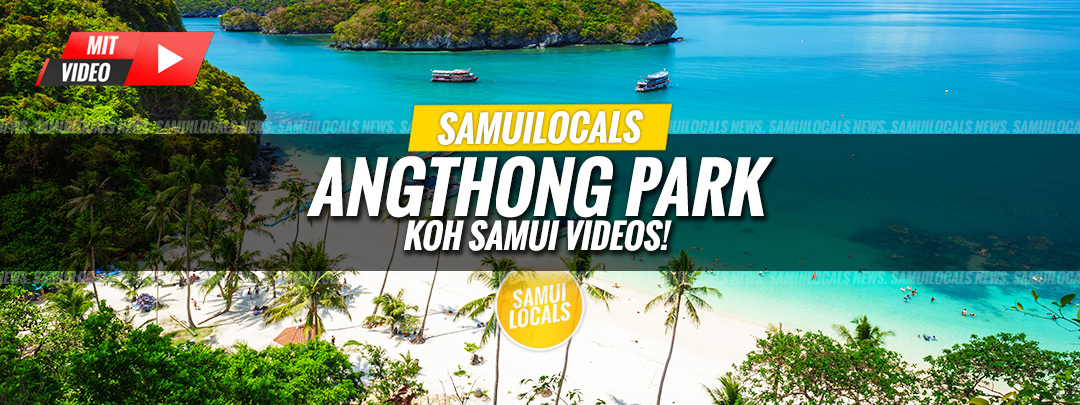 Inseln des Ang Thong Marine Park vor Koh Samui